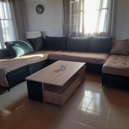 Elena'S Family House Διαμέρισμα Αρτέμιδα Εξωτερικό φωτογραφία