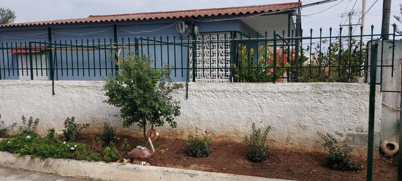 Elena'S Family House Διαμέρισμα Αρτέμιδα Εξωτερικό φωτογραφία
